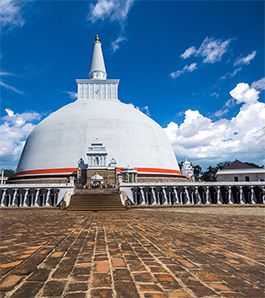 tour company in sri lanka